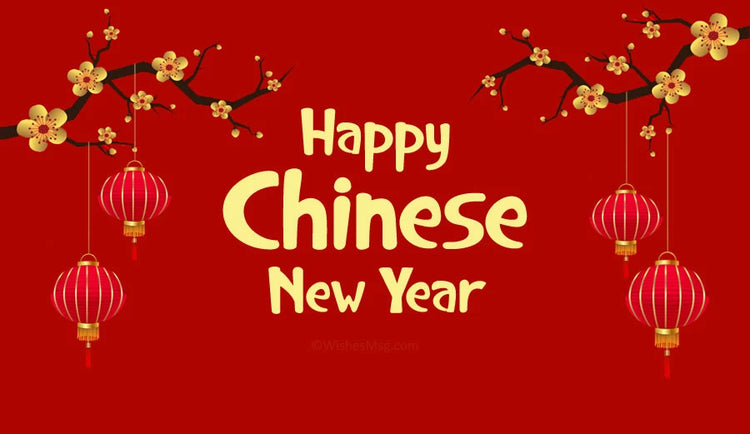 Chinese New Year Adult Socks
