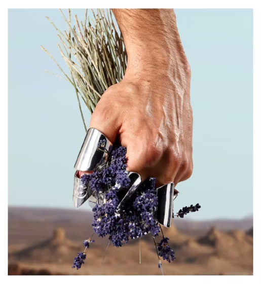 DOLCE & GABBANA K EDT 50ml