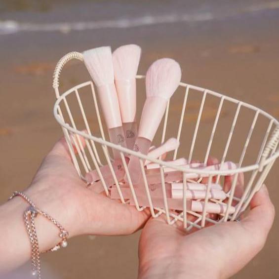 BLJ Mini Make Up Brush With Mini Bag Set
