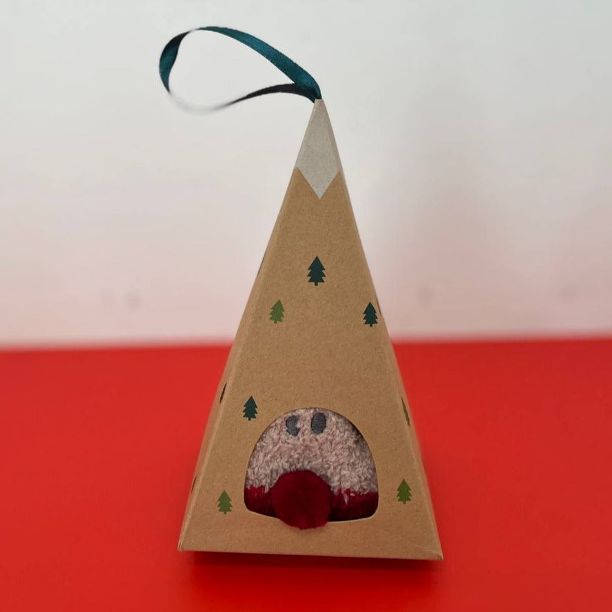 Christmas Tree Box Socks (8 Types)