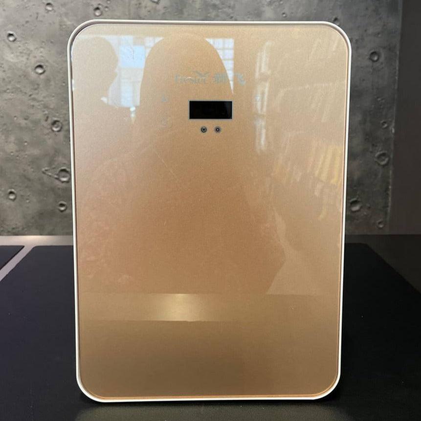 Mini Gold-Door Portable Fridge