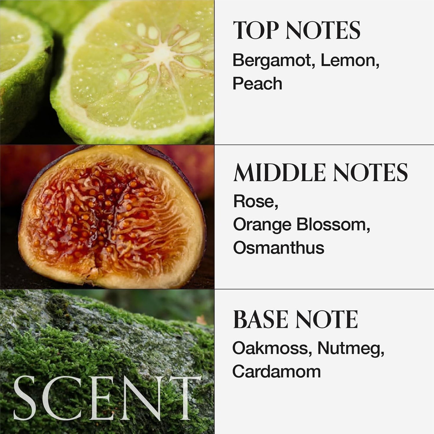 MONCLOS Scalp Solution Shampoo 500ml