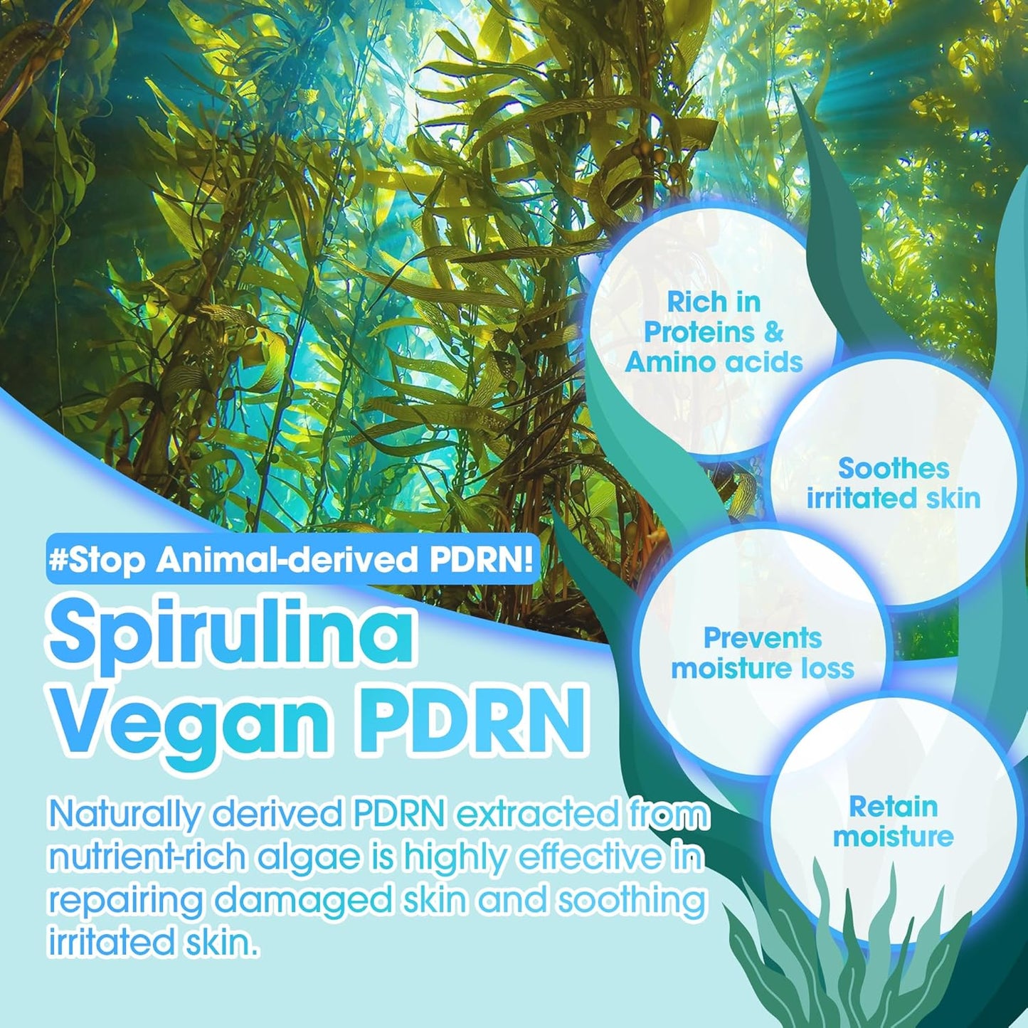 SOMEBYMI PDRN Spirulina Soothing Relief Serum 50ml