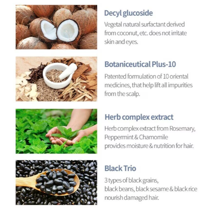 MILK BAOBAB Perfume Shampoo 500ml (White Musk)