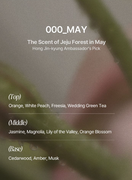 TAMZ Signature Treatment 500ml (2 Scents)