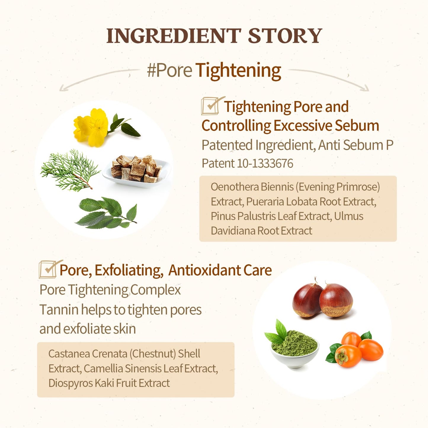 SKINFOOD Acorn Pore Peptide Daily Mask