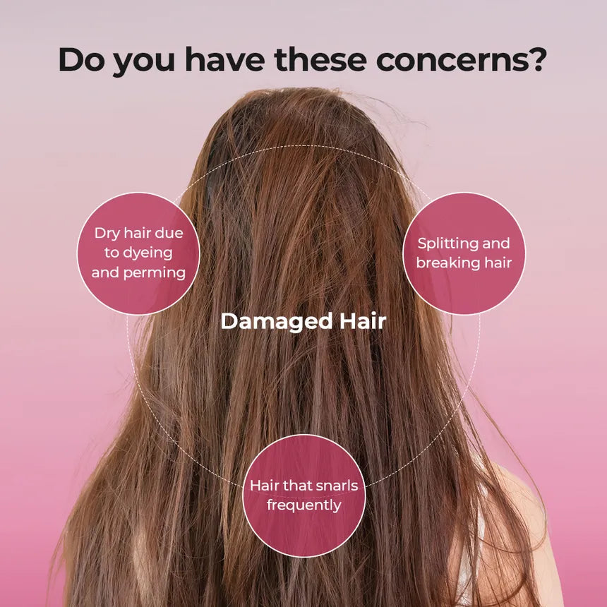 JULYME Damage Care Perfume Shampoo 500ml (3 Variants)