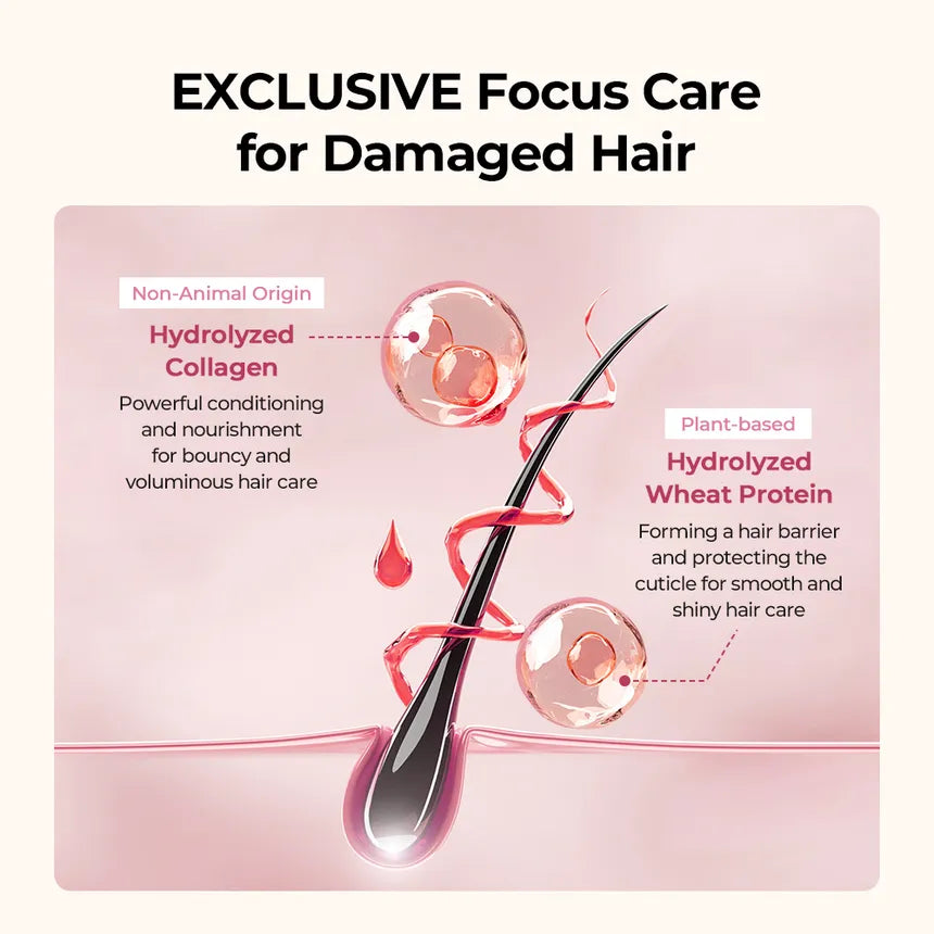 JULYME Damage Care Perfume Shampoo 500ml (3 Variants)