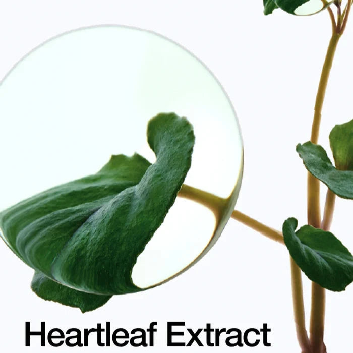 ANUA Heartleaf Pore Control Cleansing Oil 200ml