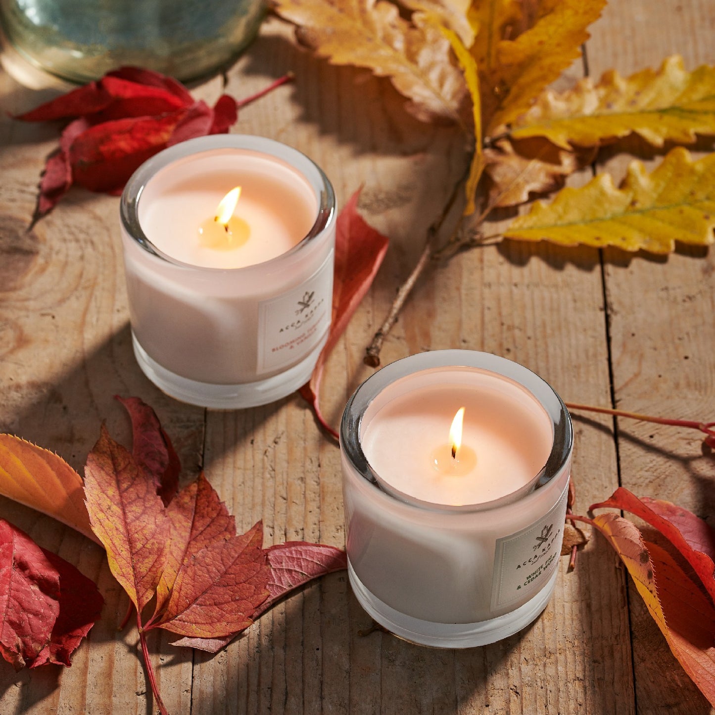 ACCA KAPPA Blooming Tuberose & Vanilla - Scented Candle 180 GR