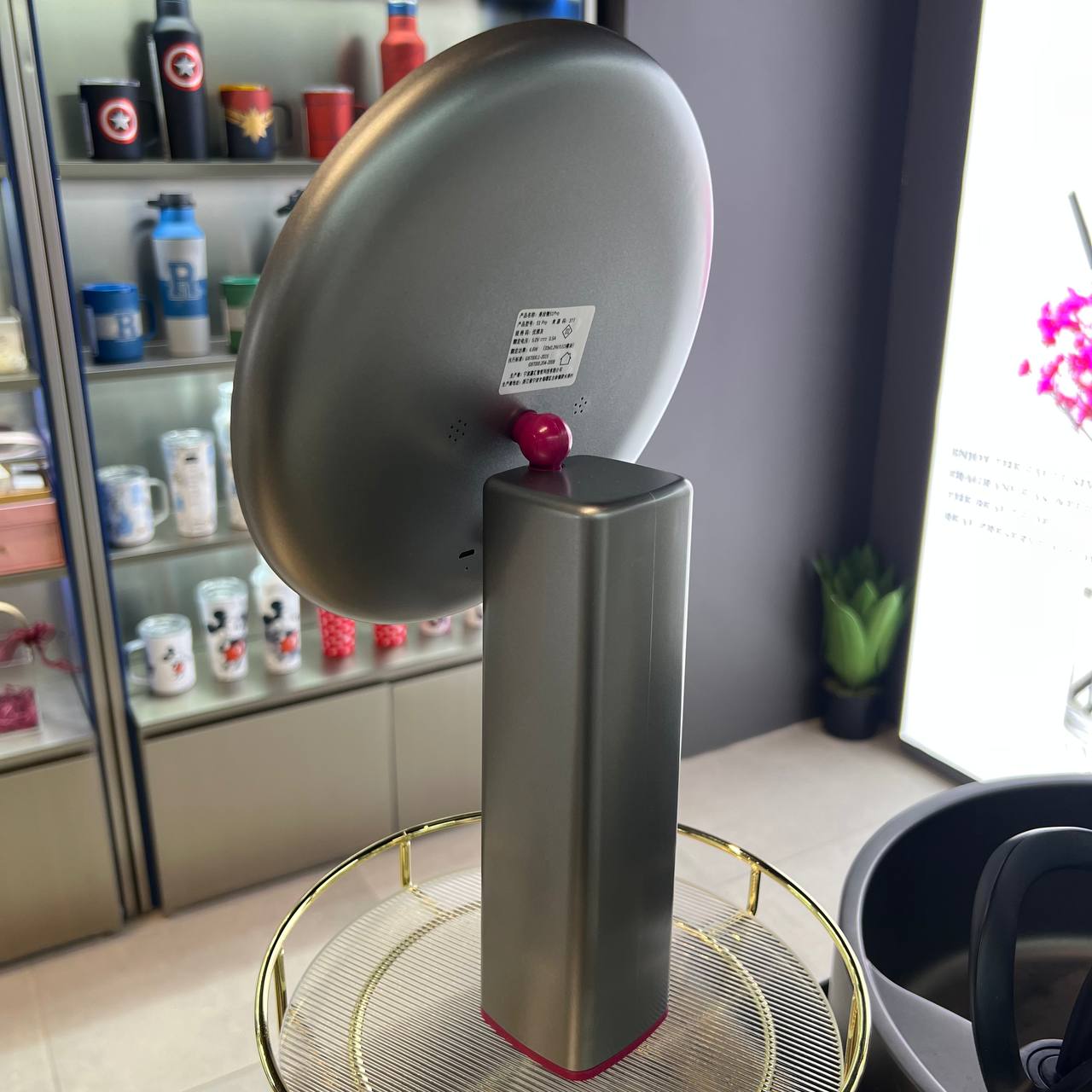 Ringlight Large Standing Mirror