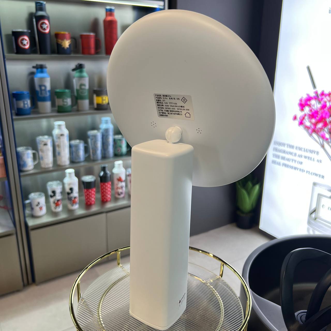 Ringlight Large Standing Mirror