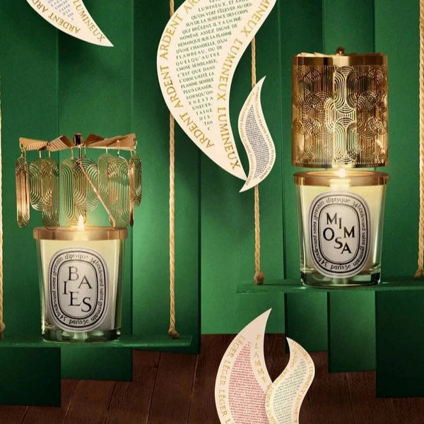 DIPTYQUE Baies Scented Candle (70g)