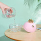 Pink Ball Portable Crown Air Humidifier