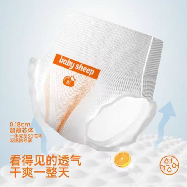 BBSheep Silk Menstrual/Maternity Underwear Pants (2 types)