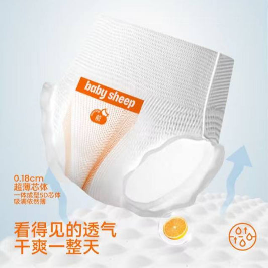 BBSheep Silk Menstrual/Maternity Underwear Pants (2 types)