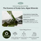 GROWUS Algae Therapy Mineral Shampoo 500g
