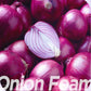 ISNTREE Onion Newpair Cleansing Foam 150ml