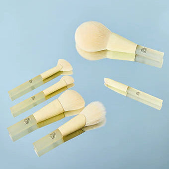 BLJ Mini Makeup Macaron Colors Brush Set with Pouch
