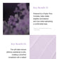 TFIT Corrector Sun Primer SFP50+ PA++++ Lavender Veil 30ml
