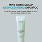 NESH Mint Biome Scalp Deep Cleansing Shampoo 250ml