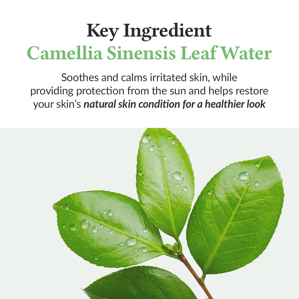 DR ALTHEA Green Tea Fresh Sunscreen 45ml