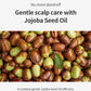 GROWUS Damage Therapy Scalp Scaling Ampoule 30ml