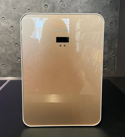 Mini Gold-Door Portable Fridge