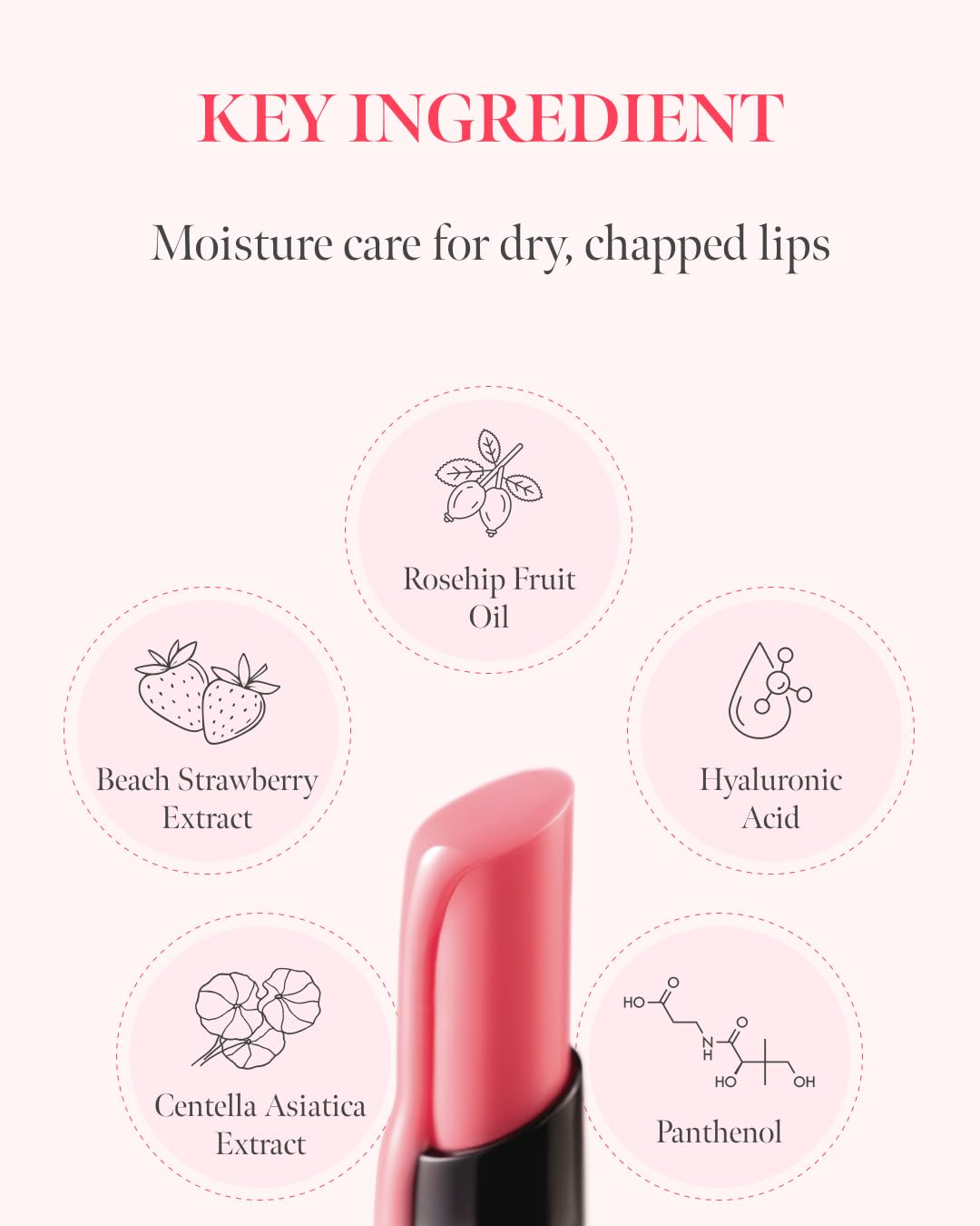 CORALHAZE Volumizing Lip Fondue (3 Shades)
