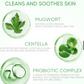 SKINTIFIC Mugwort Purifying Micellar Water