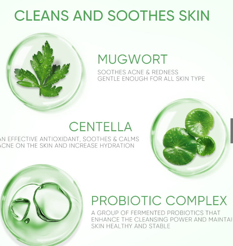 SKINTIFIC Mugwort Purifying Micellar Water