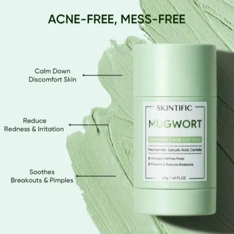 SKINTIFIC Mugwort Anti Pores & Acne Clay Stick