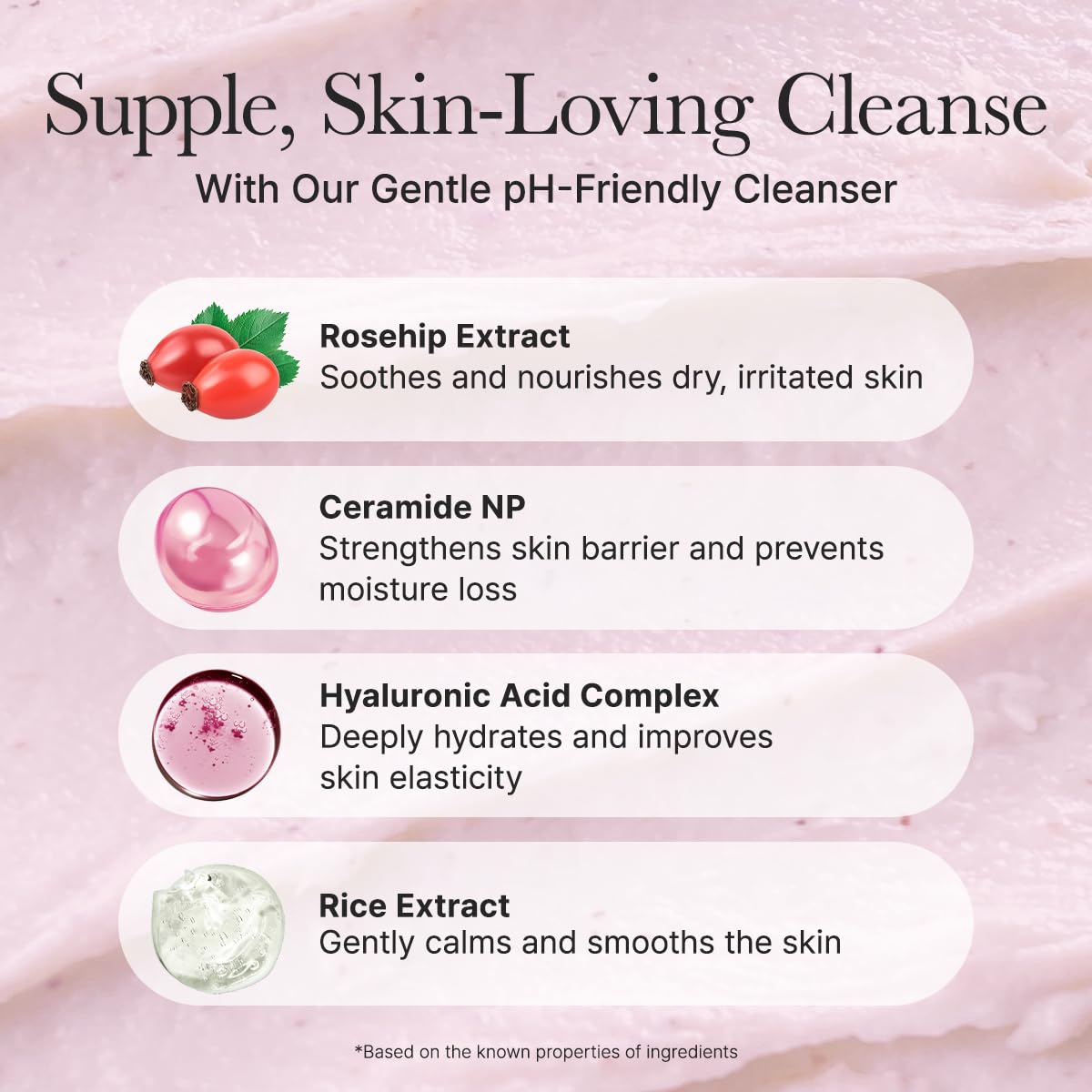 ARENCIA Rosehip Mild PH Balancing Rice Cake Cleanser 150g