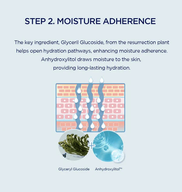 SKIN1004 Madagascar Centella Hyalu-Cica Hydrating Mask 23ml 1EA