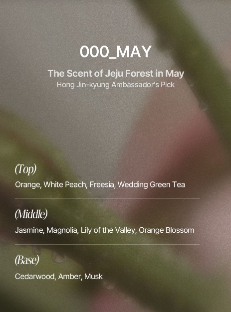 TAMZ Signature Shampoo 500ml (2 Scents)