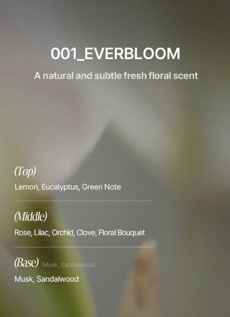 TAMZ Signature Treatment 500ml (2 Scents)