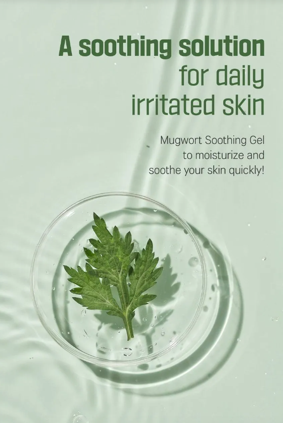 ROUNDLAB Mugwort Calming Soothing Gel 150ml