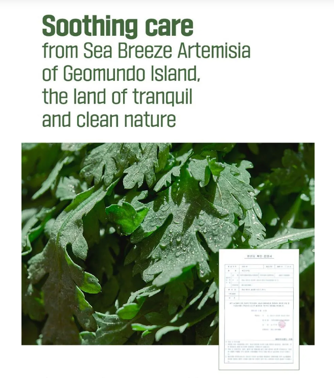 ROUNDLAB Mugwort Calming Soothing Gel 150ml