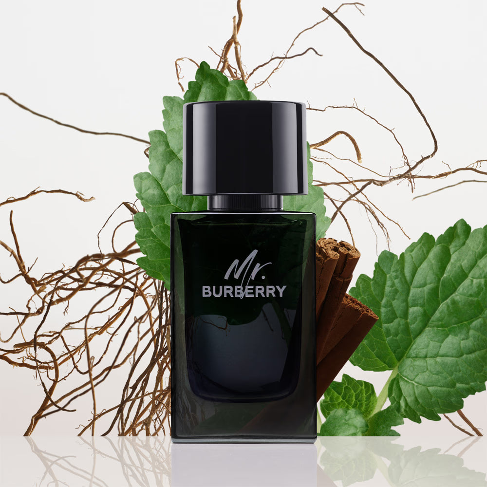BURBERRY Mr Burberry EDP 50ml