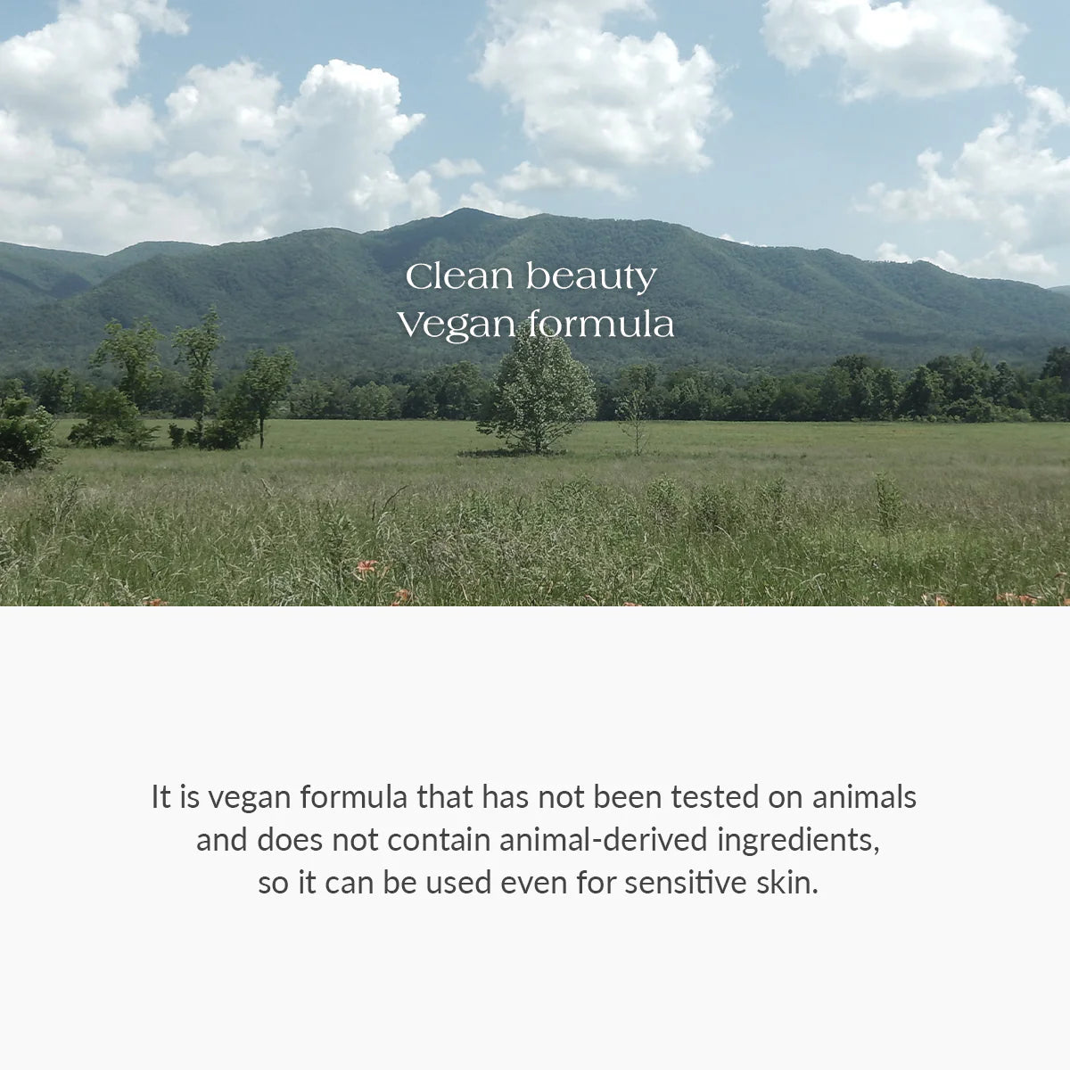 DR ALTHEA Amino Acid Gentle Bubble Cleanser 140ml