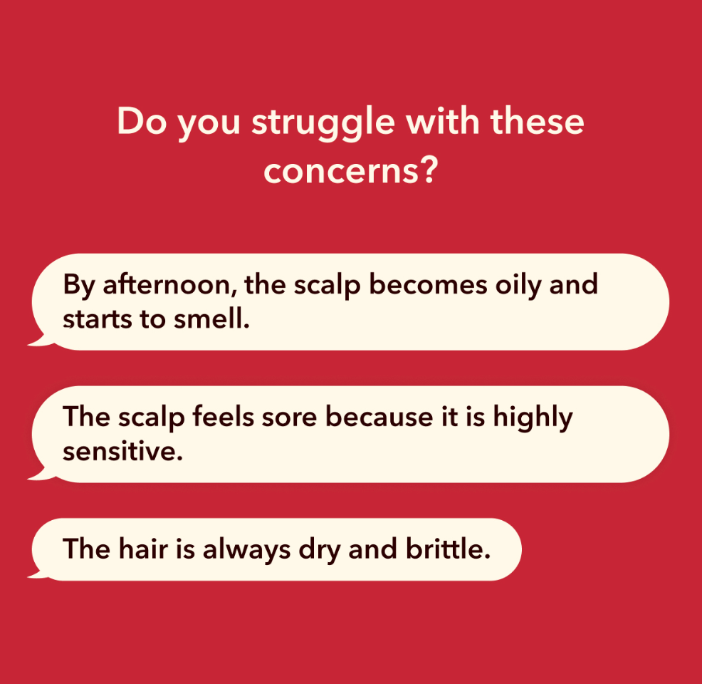 FURRIKY Silksheild Glow Shampoo EL 300ml