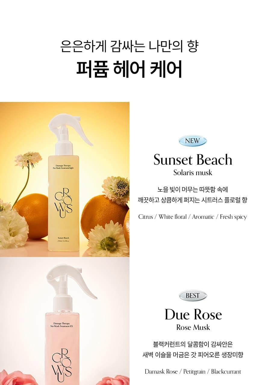 GROWUS Damage Therapy No Wash Treatment Light 250ml (Pure Soap/Sunset Beach)