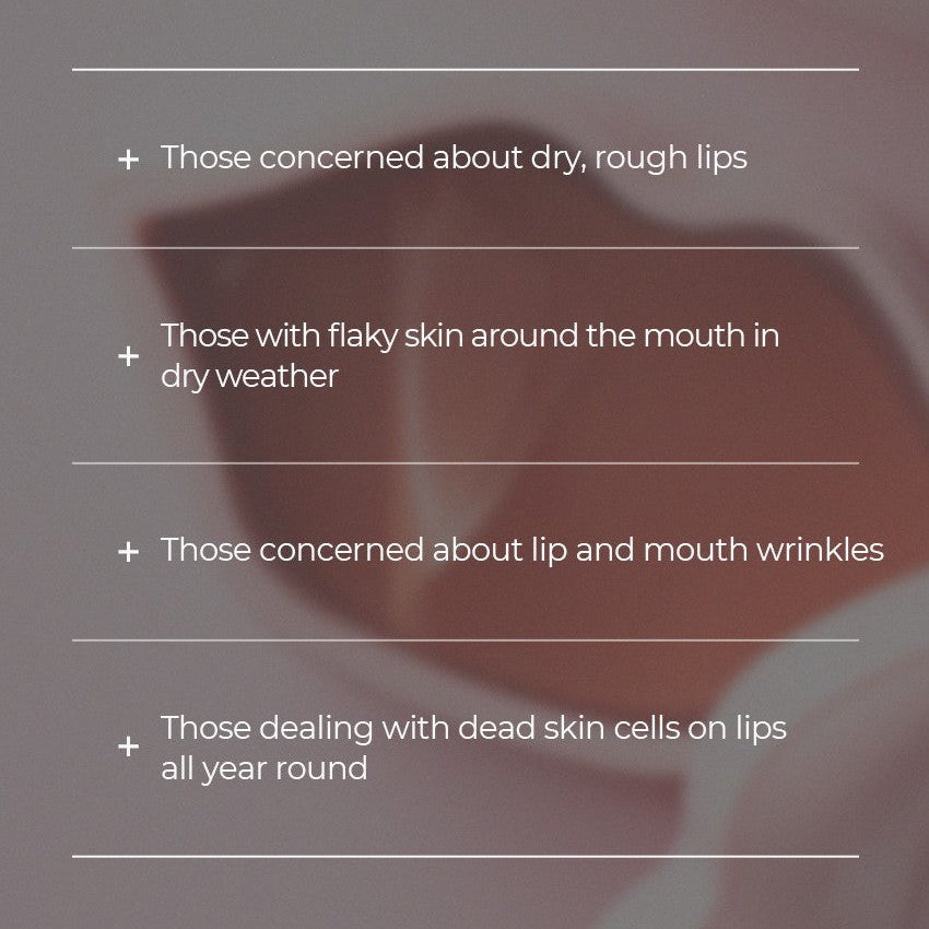 ELROEL Moisture Jelly Lip Mask 20EA