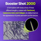 ISNTREE Onion Newpair Booster Shot 2000 50ml