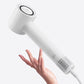 FLYCO High-Speed Hair Dryer (3 colors)