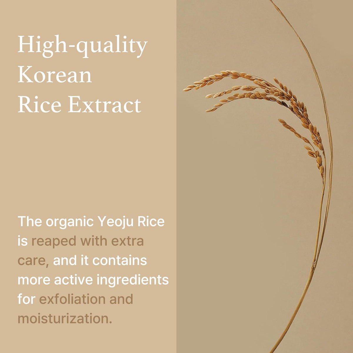 I'M FROM Rice Sheet Mask 1EA