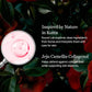 ROUNDLAB Camellia Deep Collagen Milky PDRN Toner 150ml