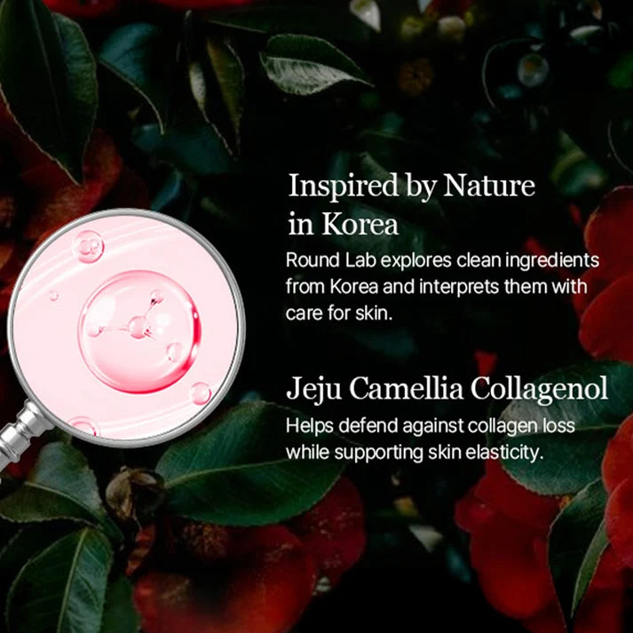 ROUNDLAB Camellia Deep Collagen Milky PDRN Toner 150ml