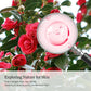 ROUNDLAB Camellia Deep Collagen Milky PDRN Toner 150ml