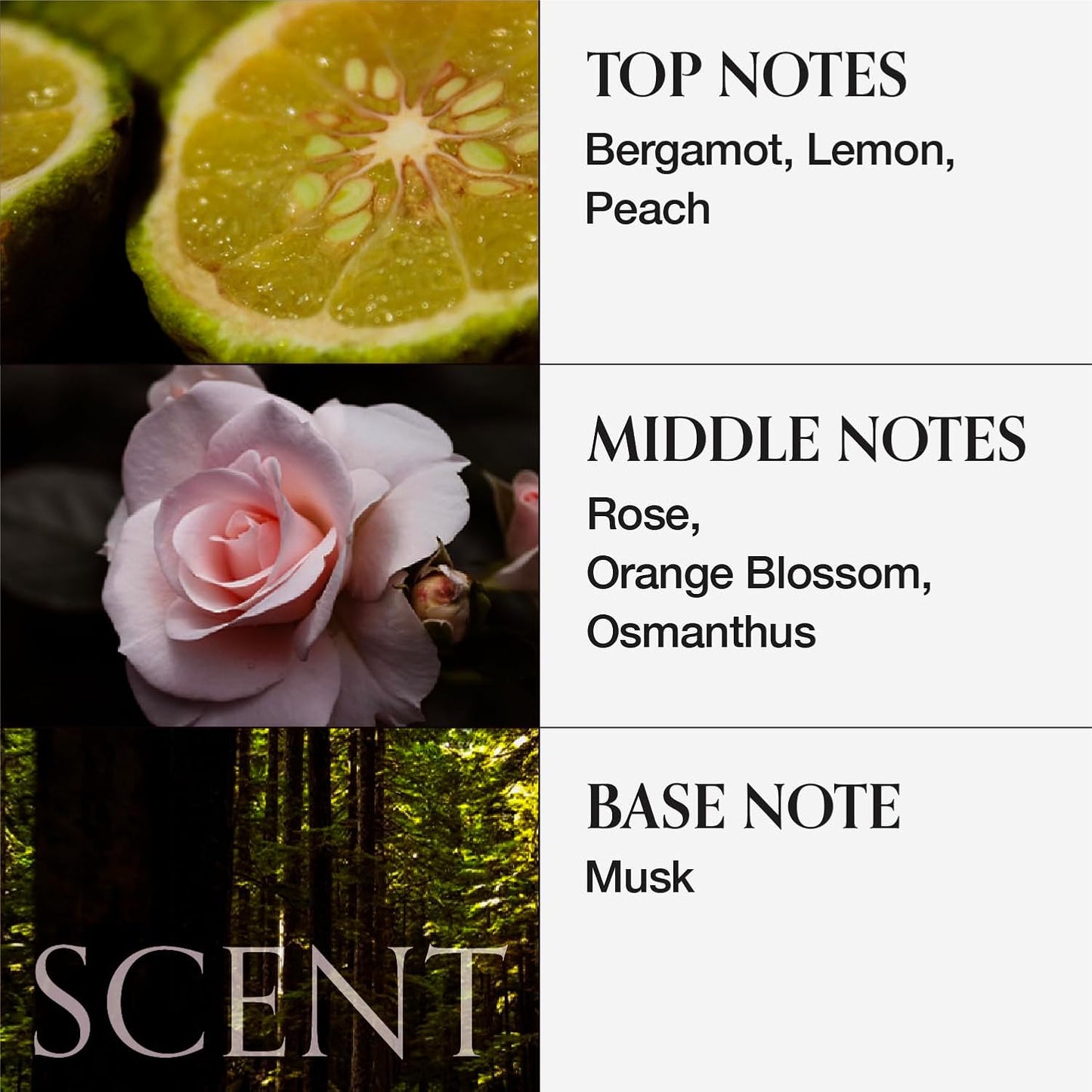 MONCLOS Velvet Volume Shampoo 300ml